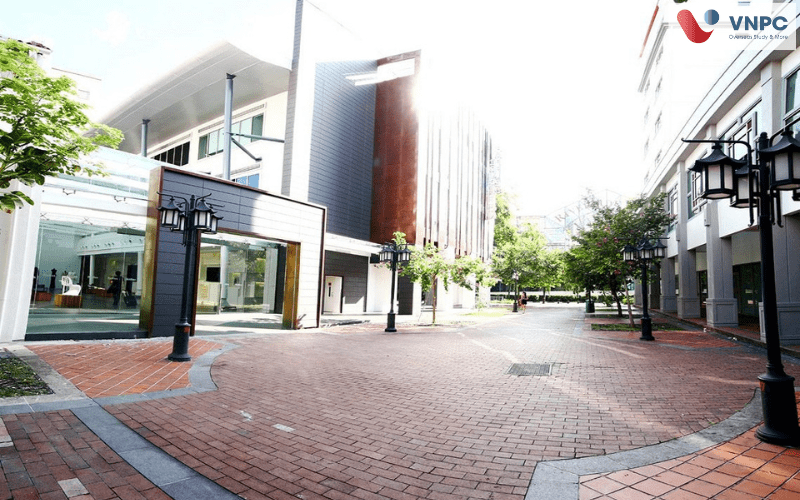 Khám phá Raffles College of Higher Education Singapore